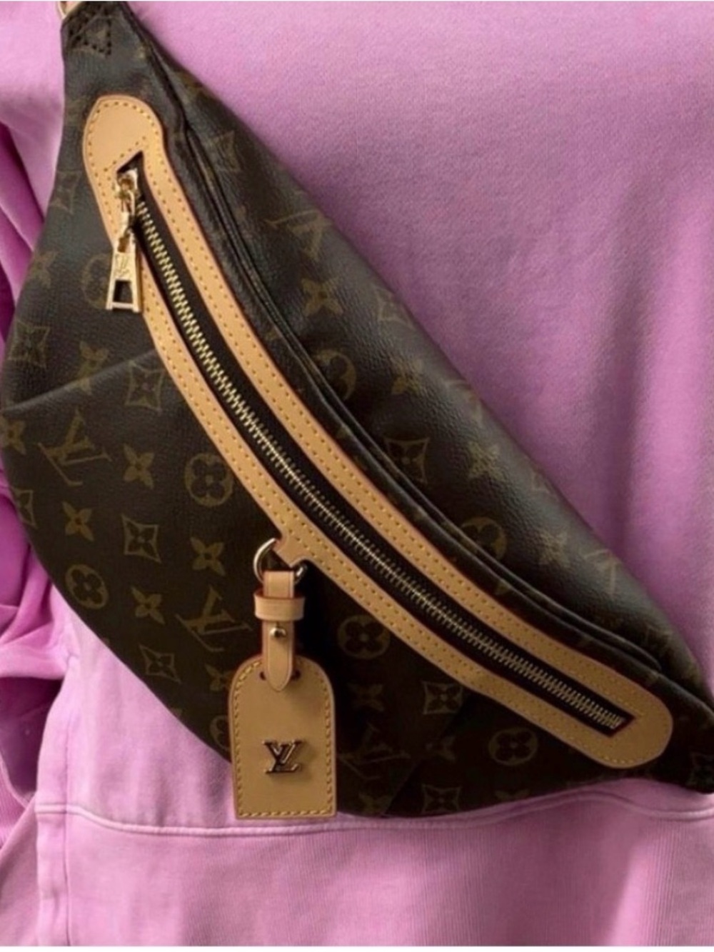 Monogram Beige and Brown  BUM Bag